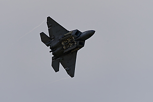 F-22 Raptor LVS00025